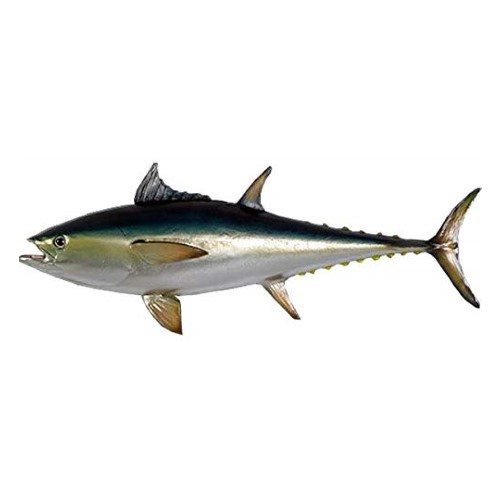 FRPアニマルオブジェ マグロ 置物 動物 魚 鮪 まぐろ ツナ 水族館 店舗 カフェ 喫茶店 レストラン 飲食店 インテリア イベント ディスプレイ 実物大 等身大 リアル