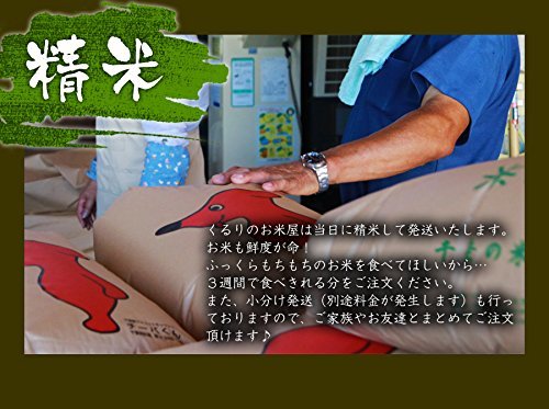 千葉県産 白米 こしひかり 26.4kg
